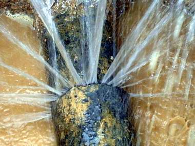 ܾW(wng)©ˮܕЩӰ