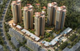 廣元蓮花村二次供水項目落實